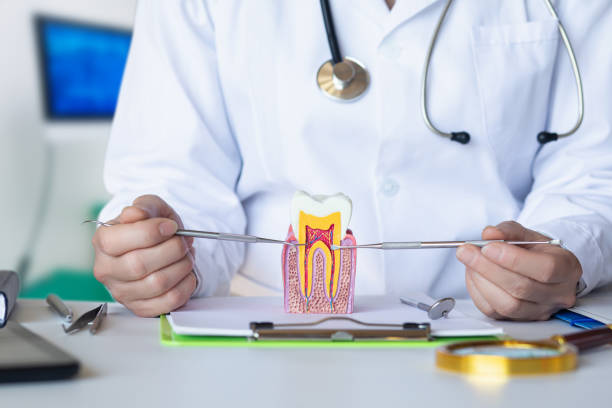 Best Emergency Dental Services for Seniors in Fort Plain, NY